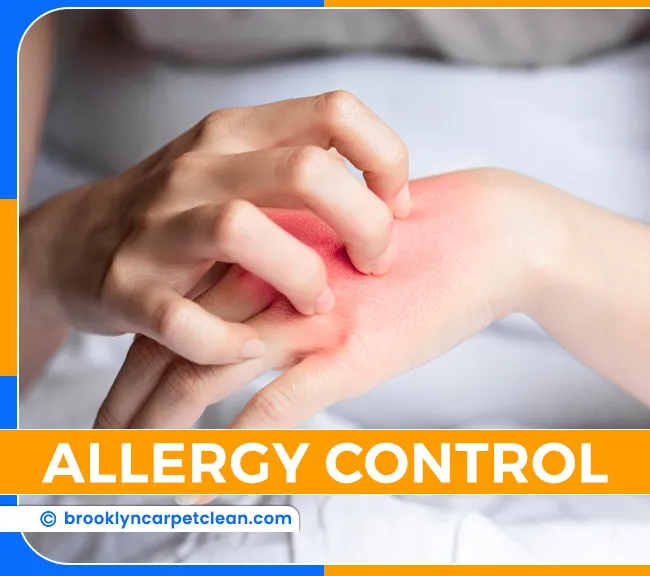 carpet cleaning in brooklyn, carpet cleaning in new york, carpet cleaning brooklyn, carpet cleaners in brooklyn, carpet cleaners in new york, commercial carpet cleaning, commercial carpet cleaning in brooklyn, brooklyn rug cleaners, rug cleaning services in brooklyn, same day carpet cleaning, same day rug cleaning