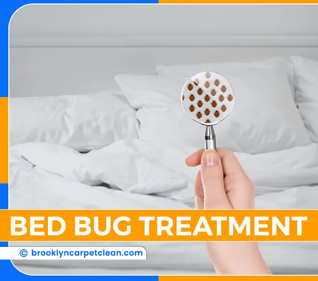 carpet cleaning in brooklyn, carpet cleaning in new york, carpet cleaning brooklyn, carpet cleaners in brooklyn, carpet cleaners in new york, commercial carpet cleaning, commercial carpet cleaning in brooklyn, brooklyn rug cleaners, rug cleaning services in brooklyn, same day carpet cleaning, same day rug cleaning